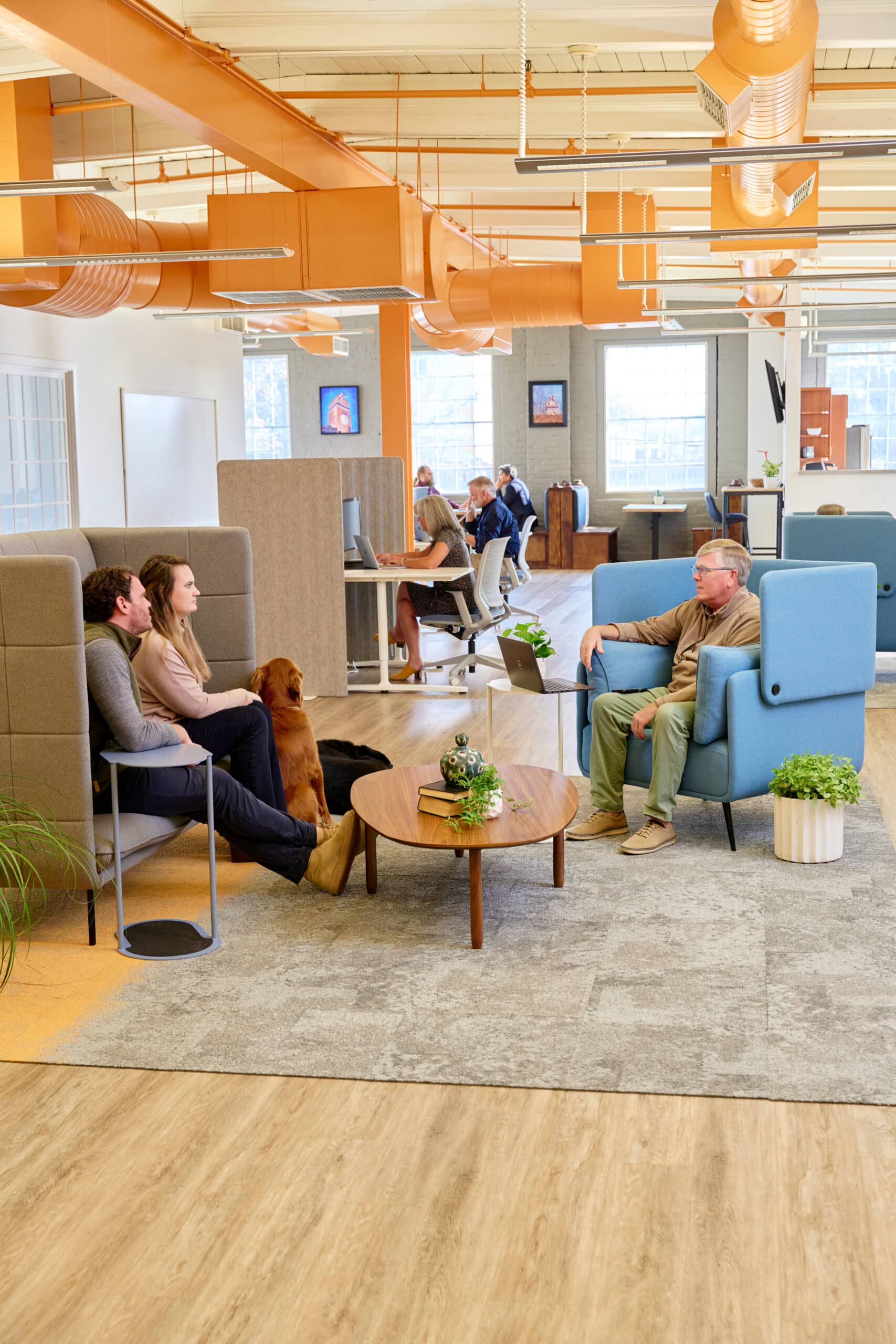 The image showcases a shared coworking space at RingSpaces Coworking in Fredericksburg. The open and collaborative area features modern furniture, including cushioned chairs with high backs for privacy, communal tables, and lounge seating. Natural light streams through large windows, complementing the industrial-style orange ductwork and neutral tones. People are seen working, conversing, and relaxing, creating a vibrant yet professional atmosphere. A dog adds a friendly touch, emphasizing the space's welcoming environment.